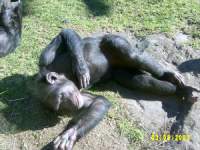 zoopa084.JPG
