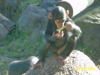 zoopa094.JPG