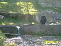 zoopa098.JPG