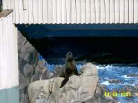 zoopa176.JPG