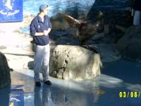 zoopa199.JPG