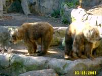 zoopa206.JPG