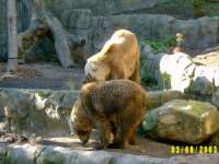 zoopa207.JPG