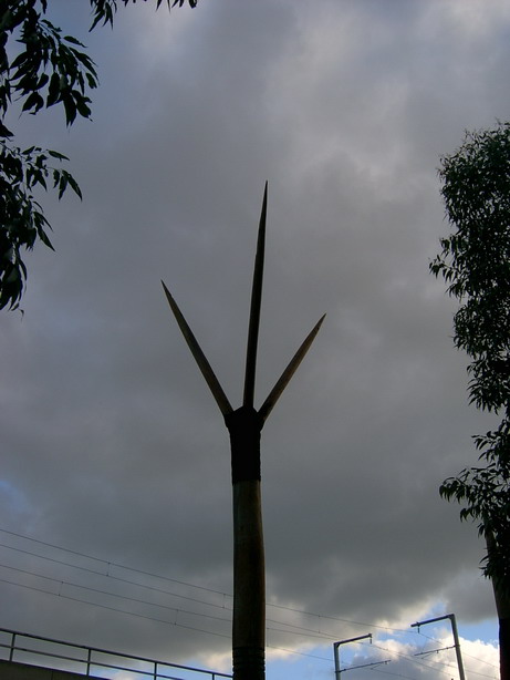 Photograph
